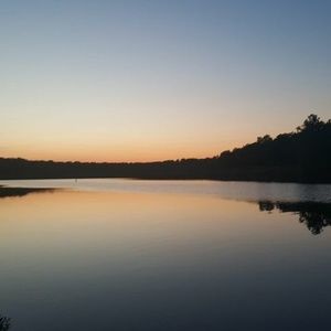 Meet your Posher, Frank